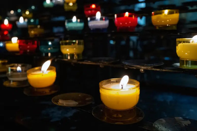 Sustainability is not a cost. It’s an investment.